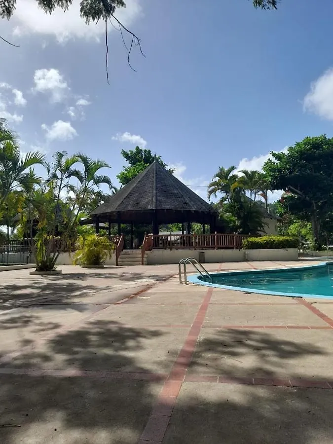 Tree House Luxe Villa Saint Ann's Bay Holiday home