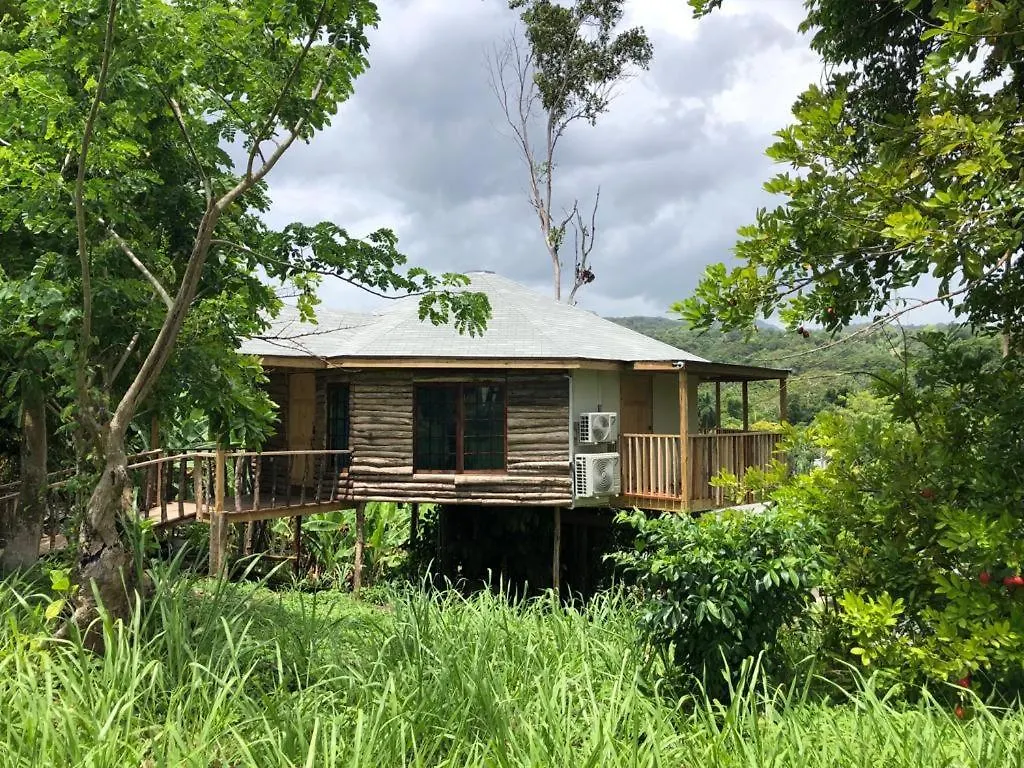 Tree House Luxe location