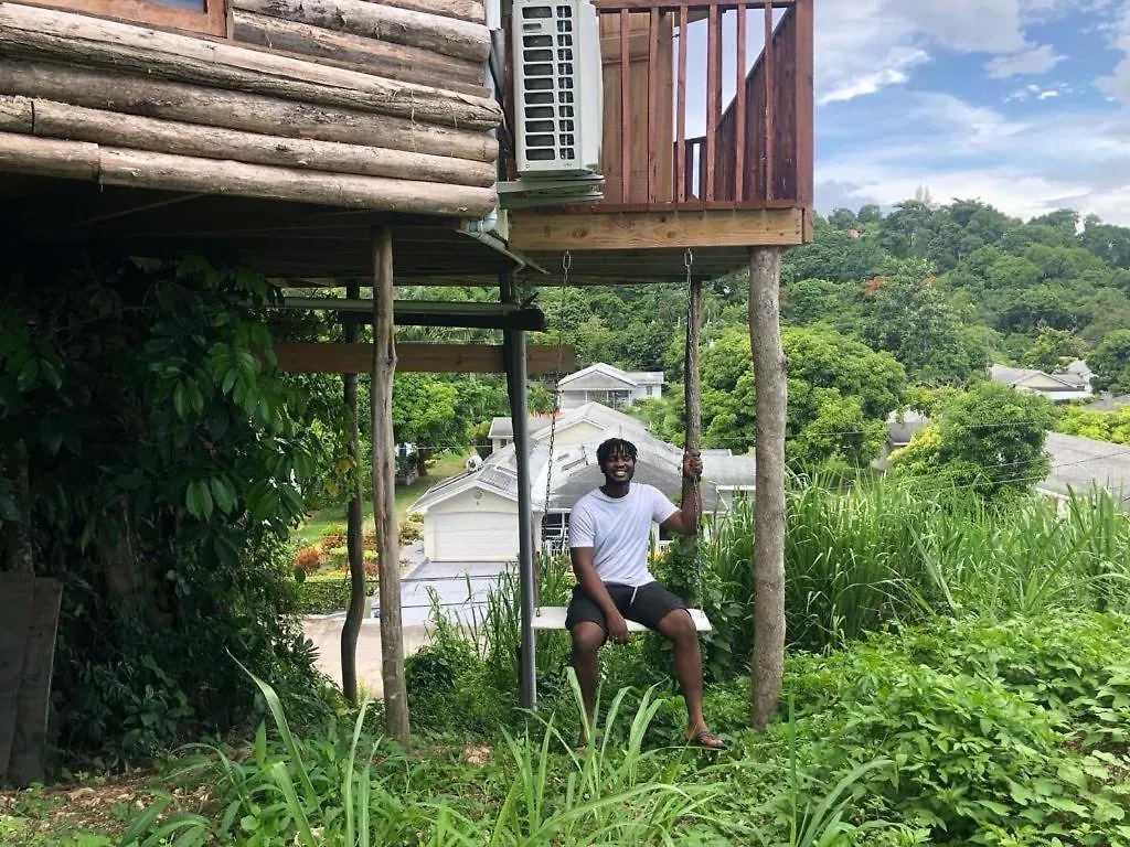 Tree House Luxe Villa Saint Ann's Bay 0*,  Jamaica