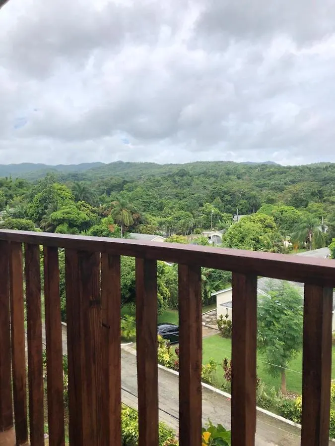 Tree House Luxe Villa Saint Ann's Bay