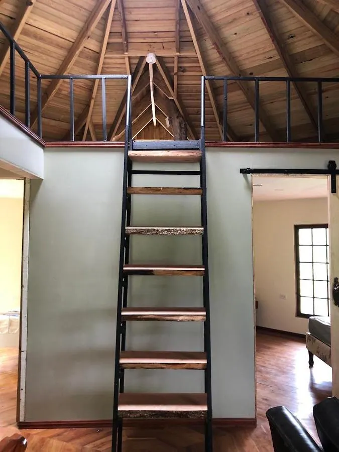 Tree House Luxe Villa Saint Ann's Bay Jamaica